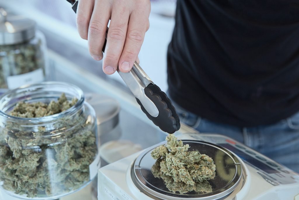 weighing medical marijuana buds from a jar